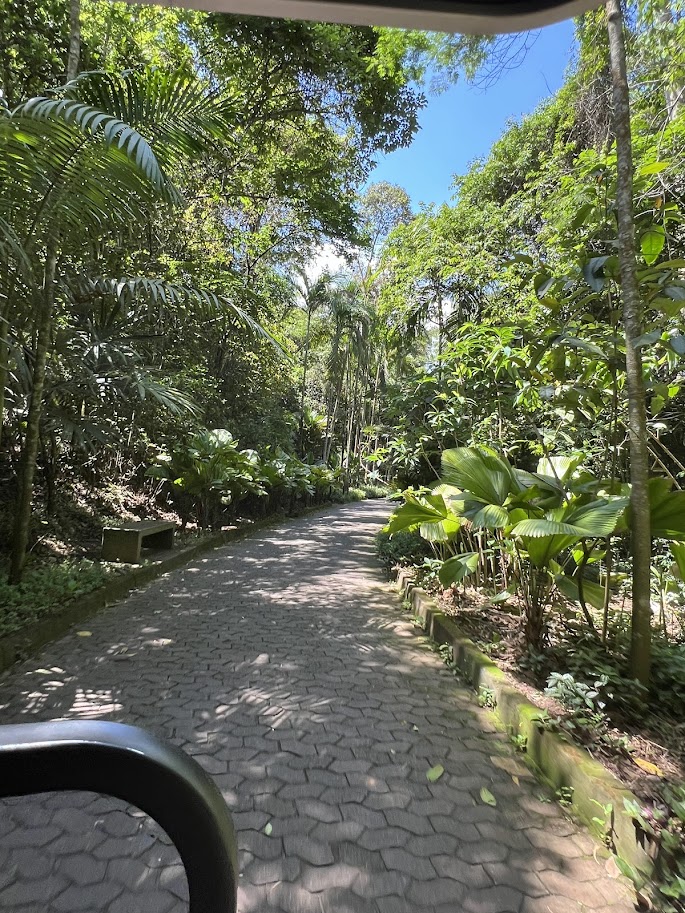 Chegando no Instituto Inhotim