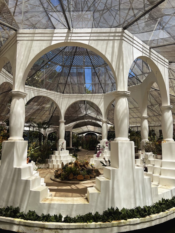 O que fazer (sozinha) no Rio de Janeiro - Jardim Botânico - Orquidário