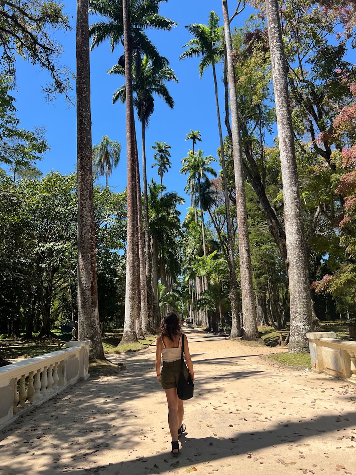O que fazer (sozinha) no Rio de Janeiro - Jardim Botânico - Palmeira Imperial
