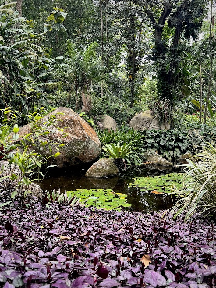 O que fazer (sozinha) no Rio de Janeiro - Sítio Burle Marx - Folhagens