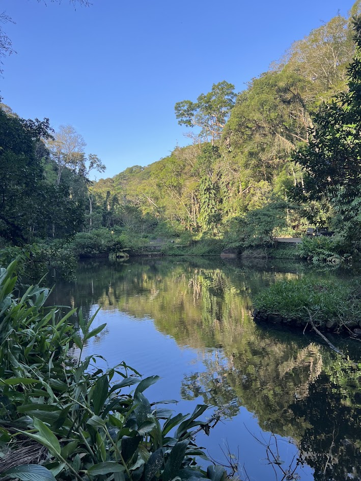 O que fazer (sozinha) no Rio de Janeiro - Tour de 4x4 na Floresta da Tijuca - Espelho