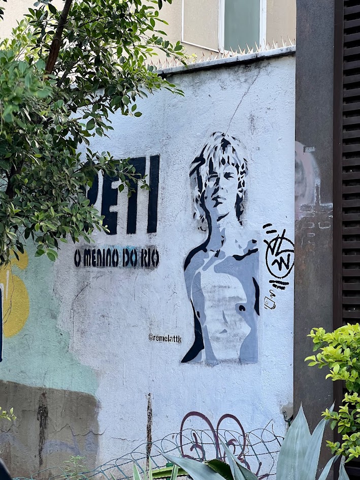 O que fazer (sozinha) no Rio de Janeiro - Walking tour em Ipanema e Copacabana - Menino do Rio